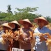Kolaborasi TNI-Polri dan Petani Dorong Swasembada Pangan Nasional 2025.