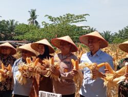 Kolaborasi TNI-Polri dan Petani Dorong Swasembada Pangan Nasional 2025.