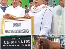 Presiden Prabowo Serahkan Sapi Kurban 1 Ton ke Masjid Al-Muslim Muara Beliti Baru