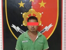 Tertangkap Basah, Sopir PT DAM Gelapkan 52 Janjang Sawit di Muara Lakitan