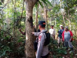 Tim Gabungan Lakukan Identifikasi Keberadaan Beruang, Kapolres Musi Rawas : Sementara Waktu, Jangan Melakukan Aktifitas di Dalam Hutan