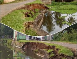 Petani dan Pengusaha Ikan Muara Beliti Menjerit: Janji Pengerjaan Dam Tak Kunjung Pasti