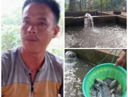 Pengusaha Ikan di Muara Beliti Rugi Jutaan Rupiah Akibat Pemadaman Listrik Tanpa Pemberitahuan