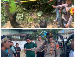 Diduga Sakit, Polsek STL Ulu Terawas Polres Musi Rawas Bersama Tim Gabungan dan Unsur Pemdes Sigap Evakuasi Jenazah Rustam di Kebun Kopi