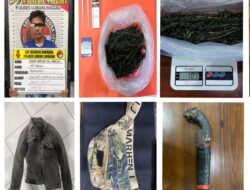 Satresnarkoba Polres Lubuklinggau Gulung Pengedar Ganja, Barang Bukti 101 Gram Disita
