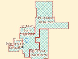 PT ST Nikel Resources dan PT MBS Terus Bersiteru, Camat Amonggedo Turun Lapangan, Indra Dapa: Lahan Pertambangan Itu Masuk Tanah Ulayat