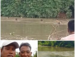 Di Antara Arus dan Doa: Tim Penyelam Senyap Lubuk Ngin Baru Berjuang Tanpa Pamrih Mencari Ananda Kevin di Sungai Muara Beliti