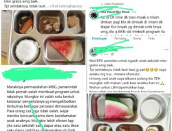 Lauk Basi Program Makanan Bergizi Gratis (MBG) Tuah Negeri Viral di Medsos, Wali Murid Cemas Anak Jadi Korban