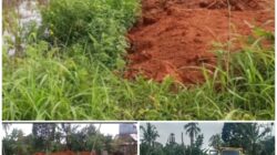 Sawah Produktif di Kali Bening Ditimbun, Gelombang Alih Fungsi Lahan Tugumulyo Kian Mengkhawatirkan