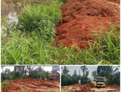 Sawah Produktif di Kali Bening Ditimbun, Gelombang Alih Fungsi Lahan Tugumulyo Kian Mengkhawatirkan