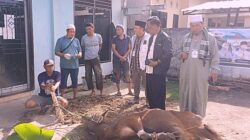 PWI Sumsel Sembelih 4 Sapi dan 1 Kambing, Semangat Berbagi Warnai Idul Adha 1447 H