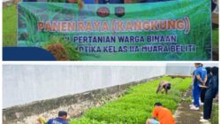 Panen Raya Kangkung di Lapas Narkotika Muara Beliti, Bukti Warga Binaan Mampu Bangkit dan Produktif