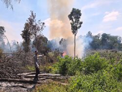 Tertangkap Tangan Bakar Lahan di BTS Ulu Cecar, NA Terancam 10 Tahun Penjara
