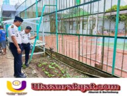 Lapas Narkotika Muara Beliti Perkuat Ketahanan Pangan, Warga Binaan Rutin Semai Pakcoy untuk Hasil Panen Berkelanjutan