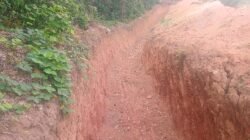 Parit Gajah PT Agro Kati Lama Dipersoalkan Warga, Ancaman Kekeringan dan Akses Kebun Jadi Sorotan