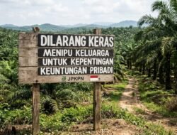 Diduga Tak Transparan Kelola 1.257 Ha Lahan, JPKPN Desak PT SPL dan ANTAM Konut Blokir Kepengurusan Lama