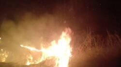 Api Membubung Tinggi di Muara Kati Baru 1, Merambat Dekati Rumah Warga, Warga Cemas Menanti Petugas.