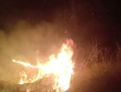Api Membubung Tinggi di Muara Kati Baru 1, Merambat Dekati Rumah Warga, Warga Cemas Menanti Petugas.