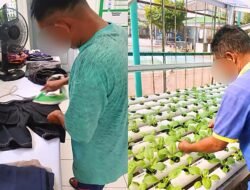 Di Balik Tembok Lapas, Warga Binaan Menanam Harapan Lewat Kerja dan Keterampilan