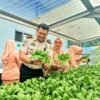 Panen Pakcoy di Lapas Muara Beliti, Wujud Pembinaan Produktif dan Ketahanan Pangan